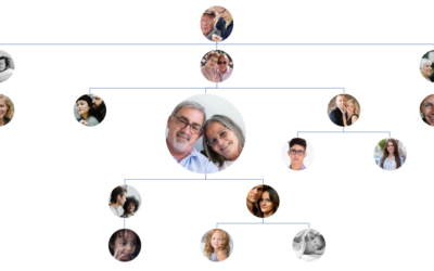 Parler de sa famille – Exercices interactifs (Partie II)